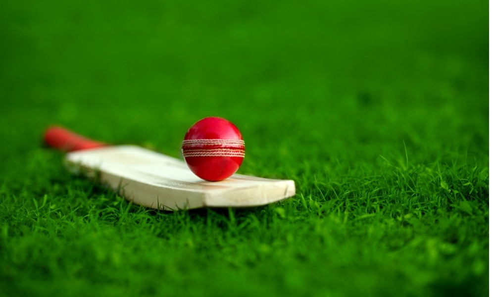 Cricket pitch land requirement planning